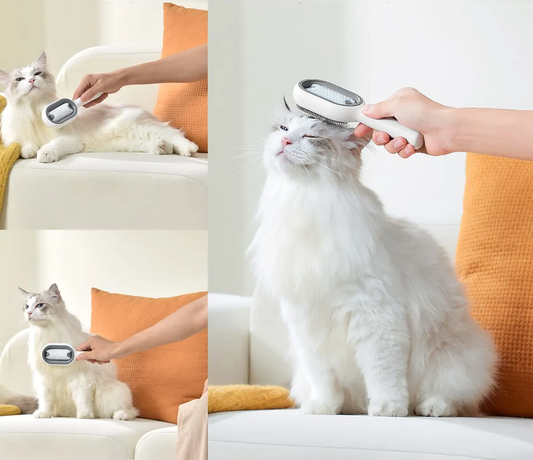 3 in 1 hair removal brush - PetBrush