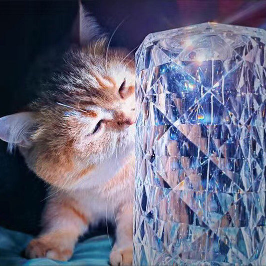 Cristal Touch LED luminaire