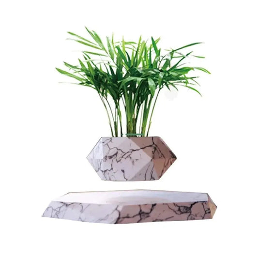 Bonsai Harmonia Zen Magnetic Vase [LAST UNITS]